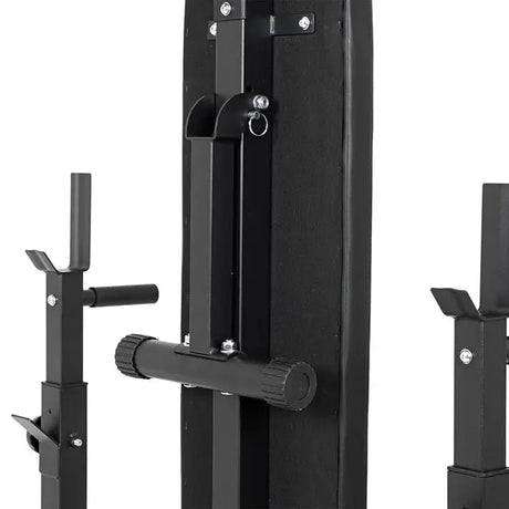 Plate-Loaded Dumbbell Set with Bench inSPORTline CEM 180 + 40 cm/30 mm 105 kg InSportLine Adjustable Benches