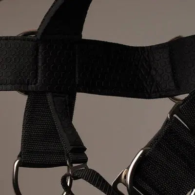 Iron Neck Alpha Harness Plus Neck Training Harness